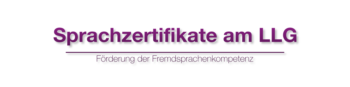 DELE Zertifikat in Spanisch